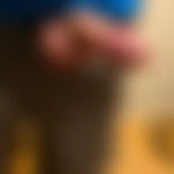 Eesti tutvused portaal salasoov.ee